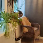 Family House 2*