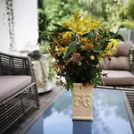Family House Guest house