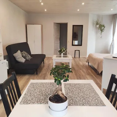 Guest house Family House 2*