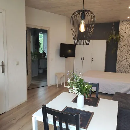 Family House 2* Druskininkai