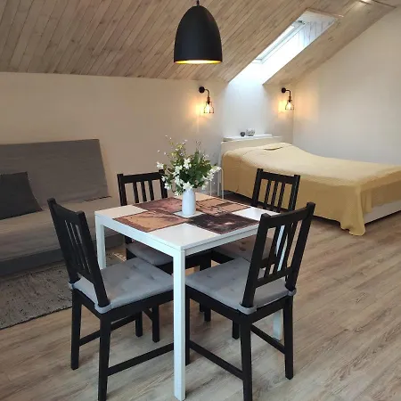 Family House Guest house Druskininkai