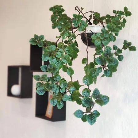 Guest house Family House