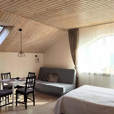 Family House Guest house Druskininkai