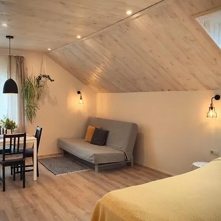 Family House Guest house