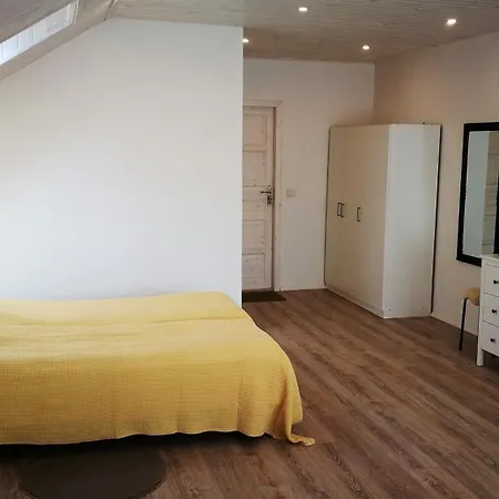 Family House 2* Druskininkai