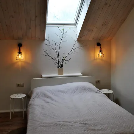Family House 2*