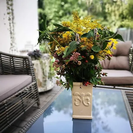 Family House Guest house