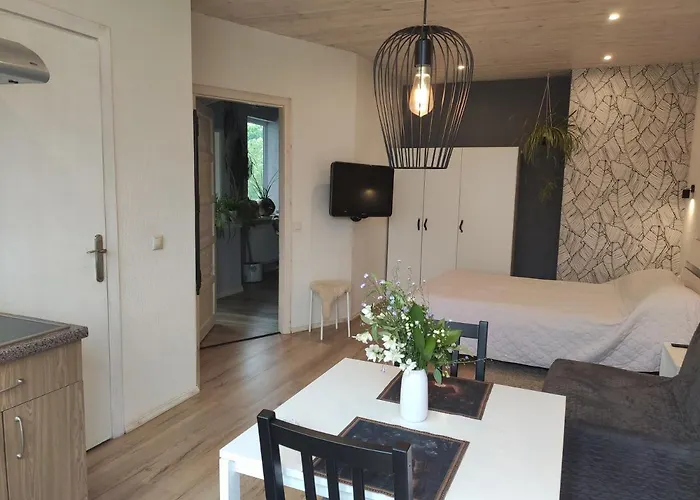 Family House 2* Druskininkai