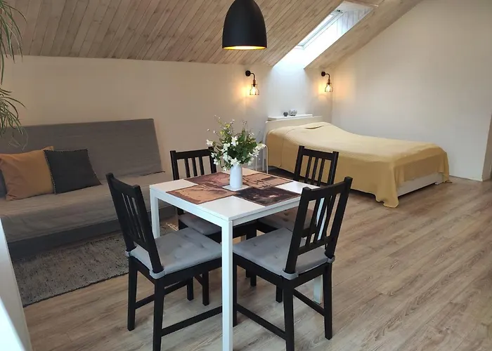 Family House Guest house Druskininkai