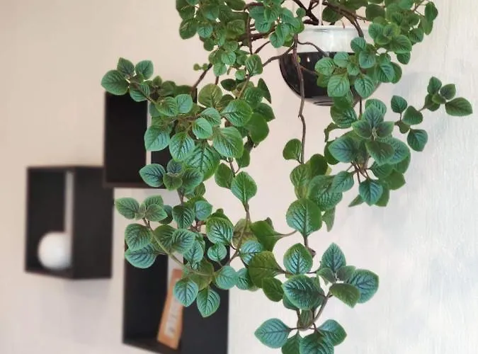 Guest house Family House