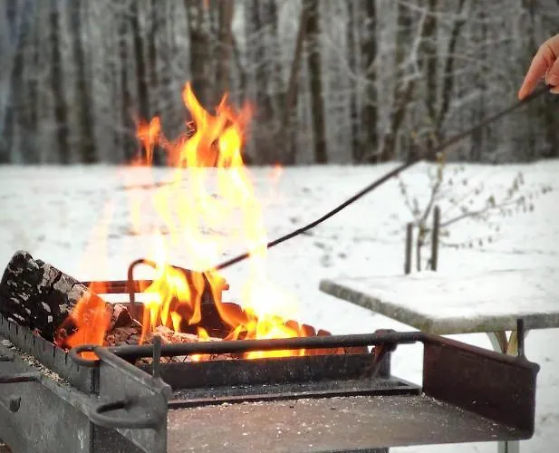 Guest house Family House