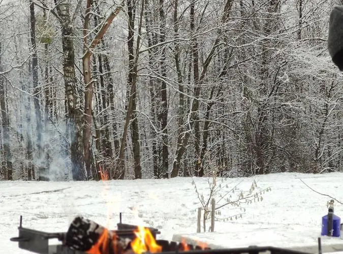 Family House Guest house