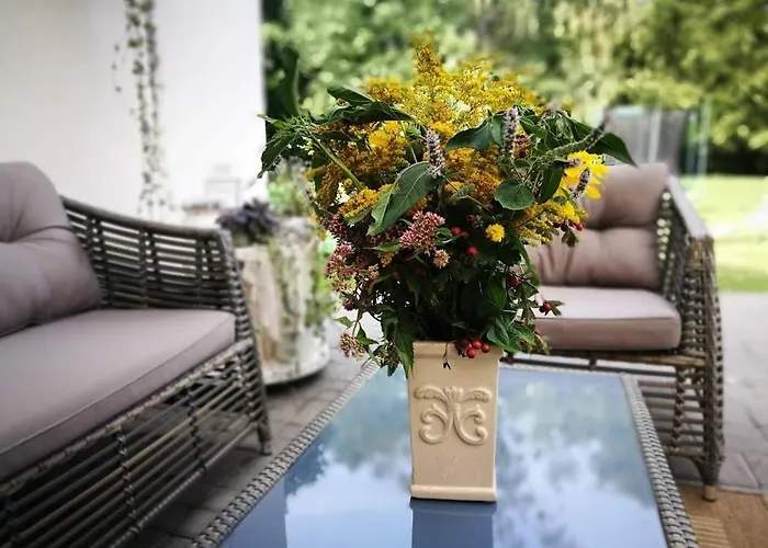 Family House Guest house